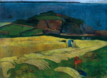 Die Ernte am Meer: Le Pouldu